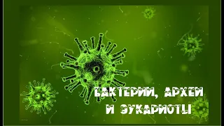 Биология. Основные группы организмов. Вирусы, бактерии, археи и эукариоты.