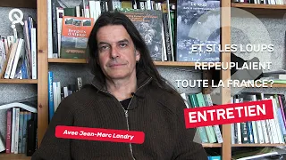 Que se passerait-il si les loups repeuplaient toute la France ? (QSPT #7) Jean-Marc Landry