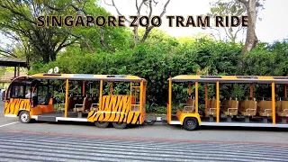 SINGAPORE ZOO TRAM RIDE FULL TOUR FROM STATION 1 TO STATION 4