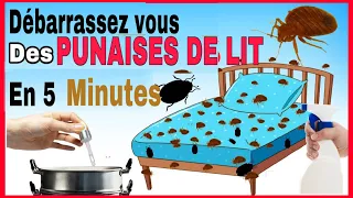 Vaporisez ceci sur votre matelas et éliminera à jamais les punaises de lit de votre lit