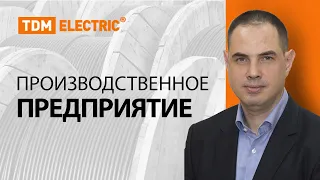 Производственное предприятие TDM ELECTRIC