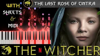 The Last Rose of Cintra (From Netflix "The Witcher") - EPIC Piano Arrangement + MIDI / FREE SHEETS