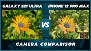 Samsung Galaxy S21 Ultra vs iPhone 12 Pro Max Camera Comparison