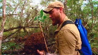 Natural Mosquito Repellent | DUAL SURVIVAL5