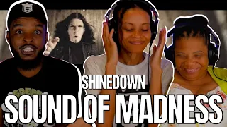🎵 Shinedown - Sound of Madness REACTION