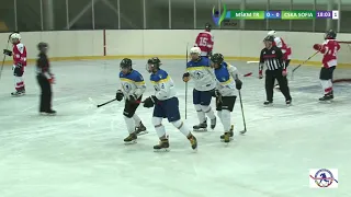 🔴LIVE|  MŠKM TREBIŠOV - SK CSKA SOFIA | HOCKEY LVIV OPEN CUP 2019