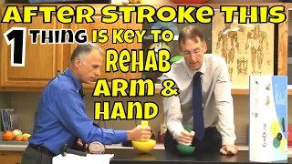 After Stroke This 1 Thing Is Key to Rehab Arm & Hand