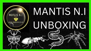 mantis ni unboxing