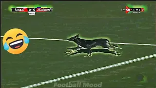 غرائب وطرائف الدوري المصري 😂😂... كلب يقتحم مباراه الاسماعيلي وسموحه