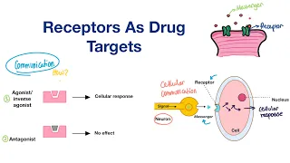 Receptors as drug targets: Types and Functions