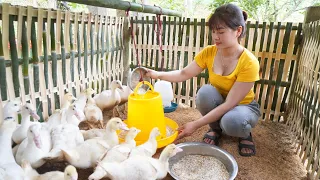 Build Bamboo Barn To Raise Geese, Grow Pumpkin, After 60 Day BUILD LOG CABIN - My Bushcraft