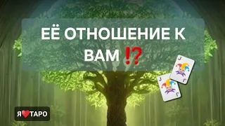 Её отношение к вам на сегодня⁉️ таро для мужчин