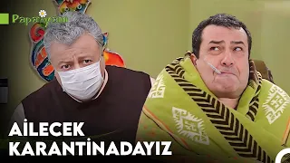 Bir Domuz Gribimiz Eksikti! - Papatyam