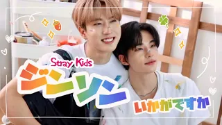 ジンソンいかがですか？【スキズ Stray Kids 日本語字幕/ヒョンジン&ハン】