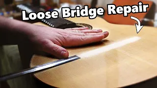 Bridge Repair w/ Vincent Xu | Pro Luthier