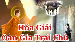 Cách Tự Hóa Giải Oan Gia Trái Chủ Tại Nhà, Giúp mọi Nghiệp Chướng Được Tiêu Trừ. Vãng Sanh Cực Lạc.