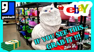 I CAN'T BELIEVE IT WAS THERE! / GOODWILL Thrift With Me / Buy Items Direct From My Haul / Cute CATS
