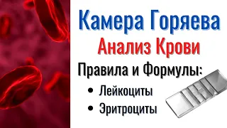 КАМЕРА ГОРЯЕВА | Как проводить Анализ Крови | Правила и Формулы подсчёта Лейкоцитов и Эритроцитов