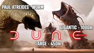 How Big and Powerful Are The Sandworms In Dune?