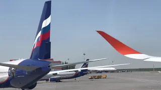 Aeroflot Airbus A350 - Moscow SVO to Miami (May/2021)