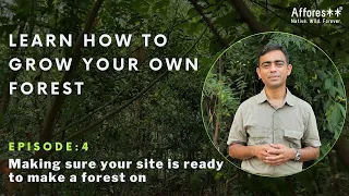 Ch:4 | Site Readiness Check | Forest Creation Tutorials | English