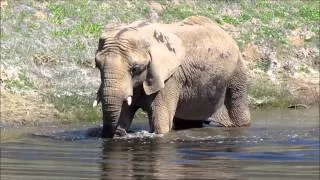 THIKA'S FIRST TIME IN THE LAGOON