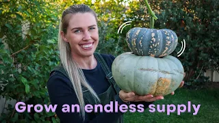 The Ultimate PUMPKIN Growing Guide // Everything you need to know to Grow Pumpkins at Home 🌱🎃