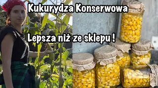 To już czas! Zrób to a już nigdy nie kupisz jej w sklepie! KUKURYDZA KONSERWOWA- przepis.