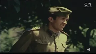 Împușcături sub clar de lună (1977)