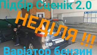 Про Авторинок Луцьк в Неділю. Що і як! Підбір Сценіків 2.0 варіатор БЕНЗИН 2009