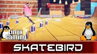 SkateBIRD | Linux Gaming | Ubuntu 19.04 | Native