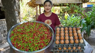 Yummy chili recipe and cooking with country style - Amazing cooking video