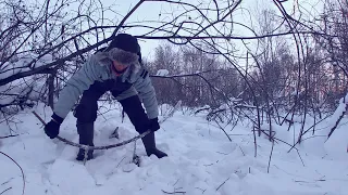 ОХОТА НА БОБРА ЗИМОЙ.ПРОВЕРКА КАПКАНОВ.ПОДВЕДЕНИЕ ИТОГОВ СЕЗОНА