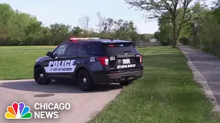 Woman brutally attacked while walking her dog in McHenry