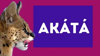 Akátá (Akata): Meaning and Usage of the Word | First Rough Attempt