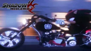 SHADOW THE HEDGEHOG All Cutscenes (Dark Path) Game Movie 1440p 60FPS