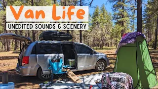 VAN LIFE - Unedited Sounds & Scenery