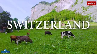 🐄🏠🌳🌷🌺 Lauterbrunnen Switzerland, Paradise on Earth | #swiss #swissview