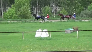 8 заезд Новосибирский ипподром 16 05 2020