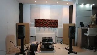 Dynaudio Confidence C20, MF Primo, Ayre QB-9 DSD, Moon 700i