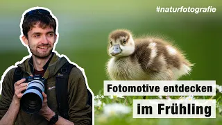 Der FRÜHLING am Haus der Natur | Unterwegs mit der Kamera