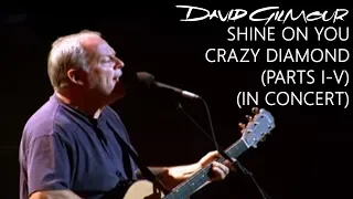 David Gilmour - Shine On You Crazy Diamond (Parts I–V) (In Concert)