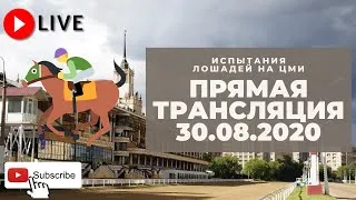 30.08.2020. Прямая трансляция с ЦМИ.