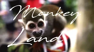 Dominican Republic - MonkeyLand