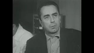 Michelangelo Antonioni documentary