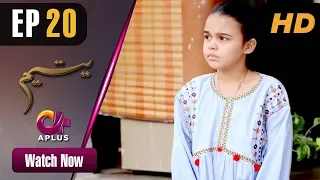 Yateem - EP 20 | Aplus| Sana Fakhar, Noman Masood, Maira Khan | Pakistani Drama | C2V1