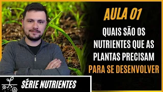 SÉRIE NUTRIENTES: Quais Nutrientes as plantas precisam para se desenvolver