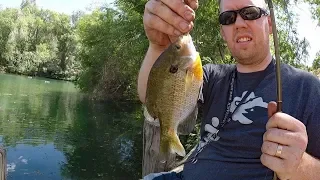 Pond fishing for bluegill and white bass with worms. How to catch bluegill