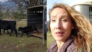 Moving Cattle IMPORTANT Homestead Lessons | Visiting the 100-YEAR-OLD farm I grew up on