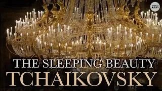 ЧАЙКОВСКИЙ - СПЯЩАЯ КРАСАВИЦА -БАЛЕТ/ TCHAIKOVSKY - SLEEPING BEAUTY